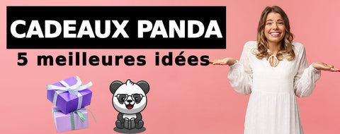 Les 5 meilleurs cadeaux pour les amoureux des pandas