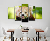 Tableau Panda <br> Panda Roux