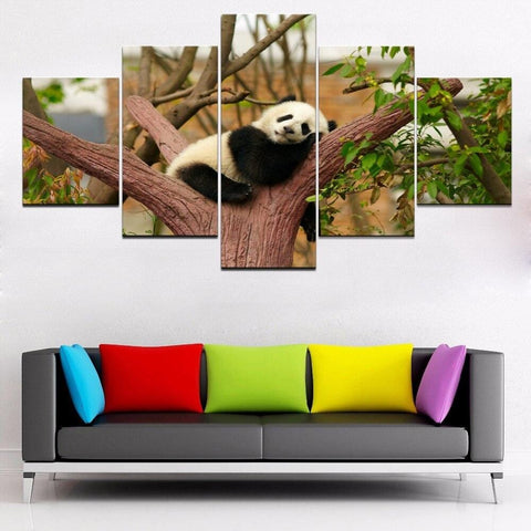 Photos Tableaux Pandas 5 Pièces