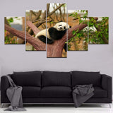 Photos Tableaux Pandas