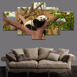 Tableau Panda <br> Sieste