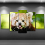 Tableau Panda Roux