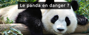 Panda en voie de disparition