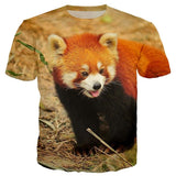 T-Shirt Panda Roux Kawaii