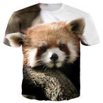 T-Shirt Femme Imprimé Panda Roux