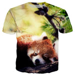 T-Shirt Panda Roux Mignon