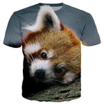 T-Shirts Panda Roux