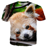 T-Shirt Panda Roux 3D