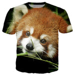 T-Shirt 3D Panda Roux