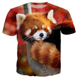 T-Shirt Panda Roux Femme