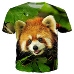 T-Shirt Panda Roux