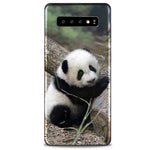 Coque Telephone Samsung A10 Panda