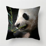 Coussin Panda Bambou
