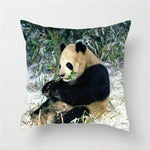 Coussin Panda Mange Bambou